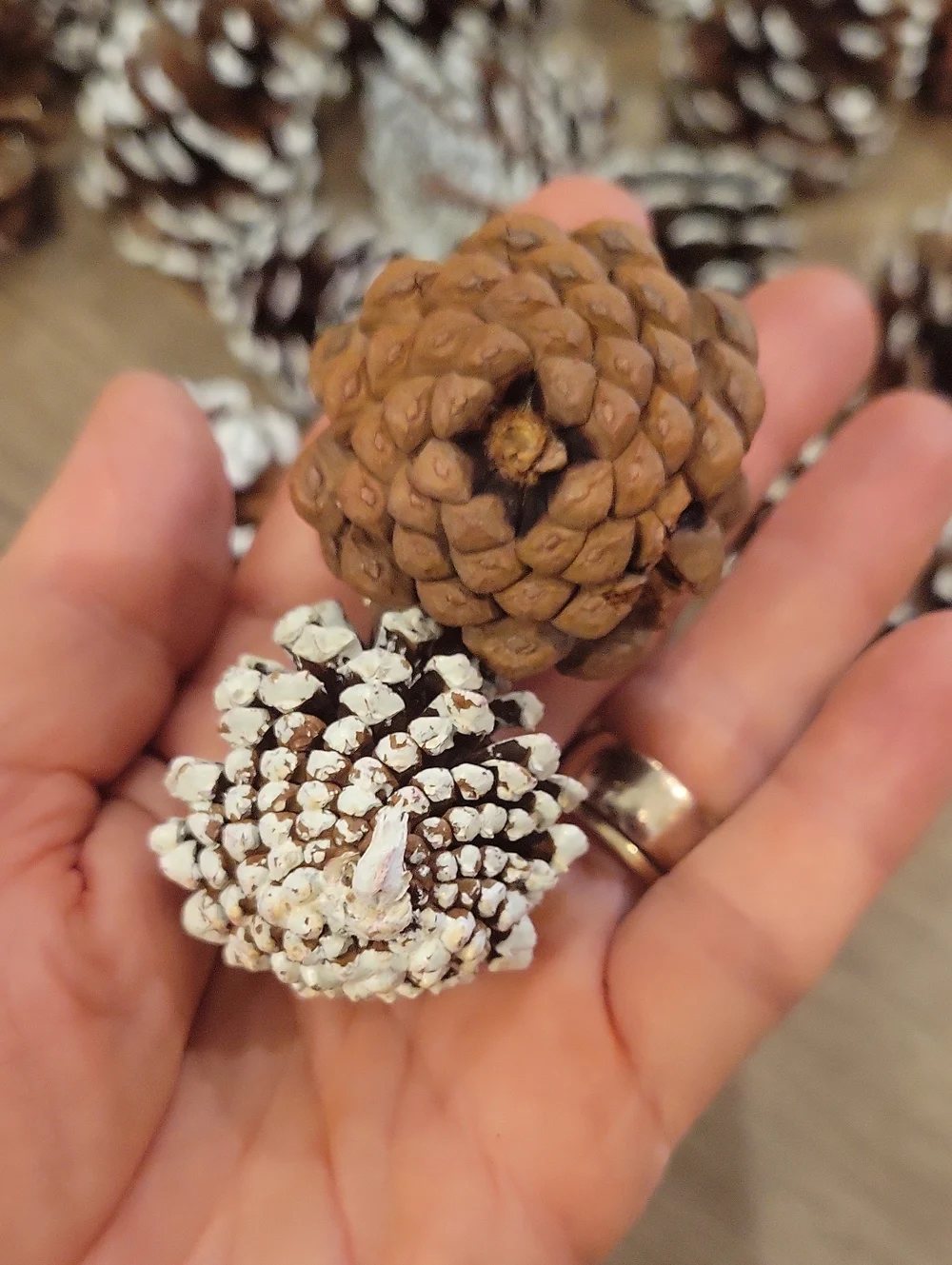 Holiday Pinecone Bundle